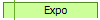 Expo